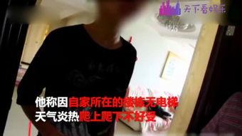 雨妈邻居爆料视频在线观看,揭秘事件真相，在线观看直击现场